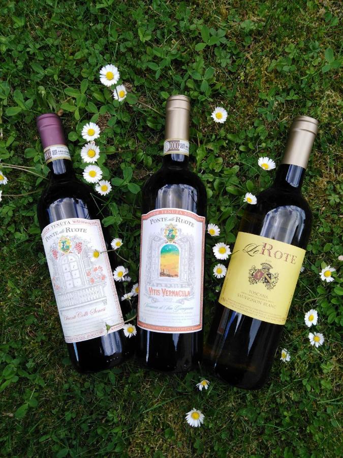 圣吉米纳诺Agriturismo Le Rote别墅 外观 照片